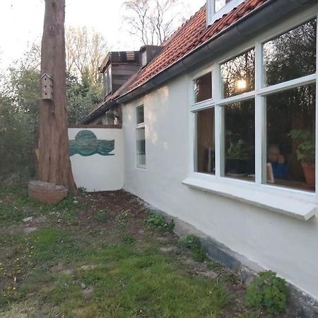 Vogelvrij Vila Vierhuizen Exterior foto