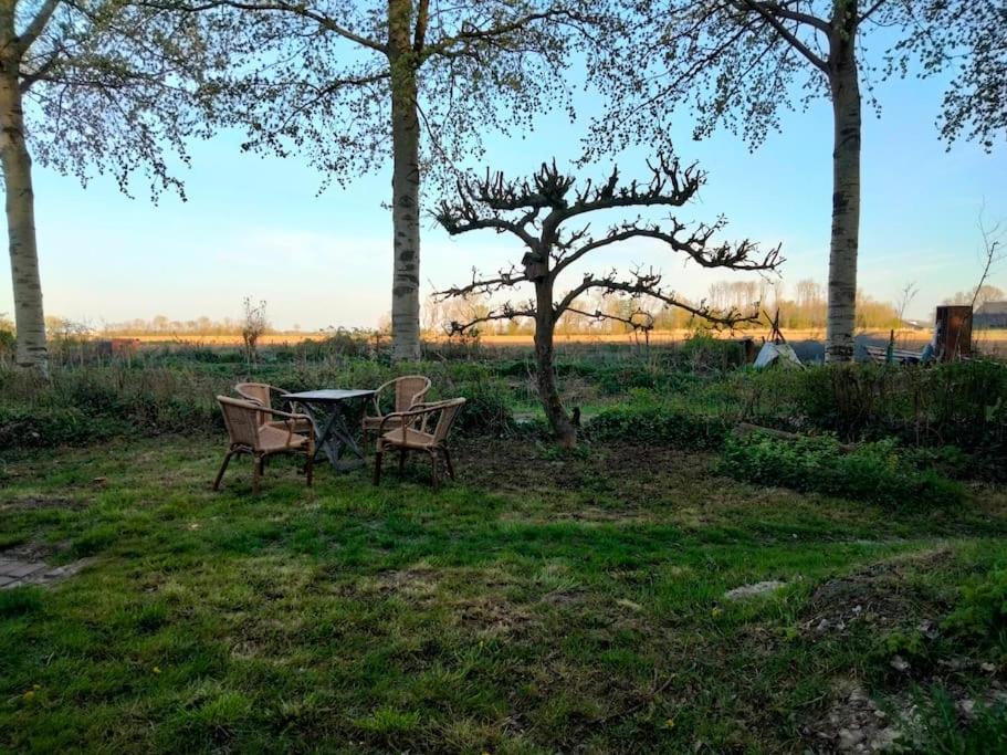 Vogelvrij Vila Vierhuizen Exterior foto